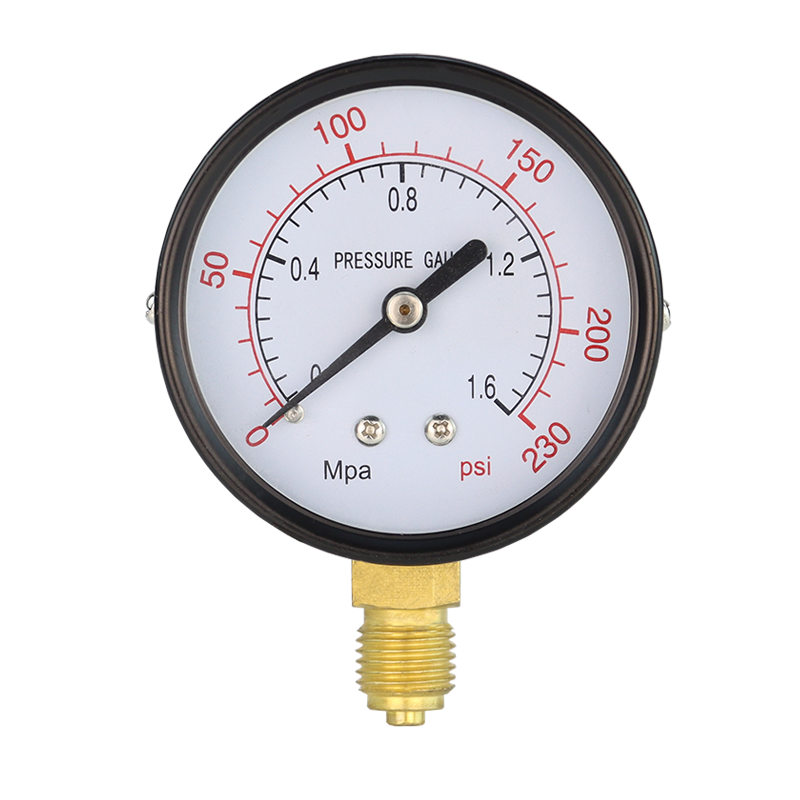 Y60 Universal Neutral Double Scale