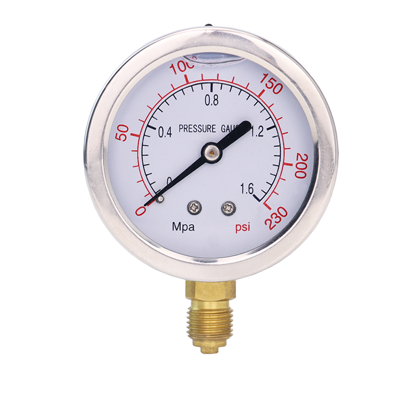 Pressure gauge series