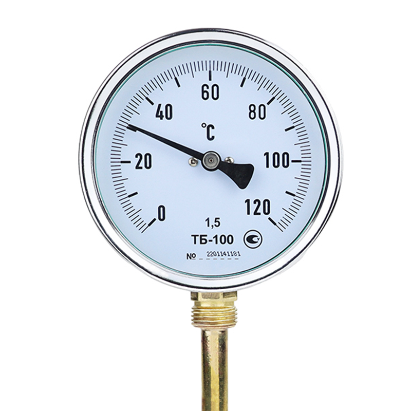 100 Thermometer