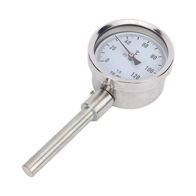 Iron sheathed thermometer