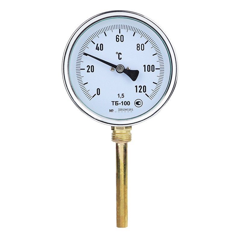 100 Thermometer