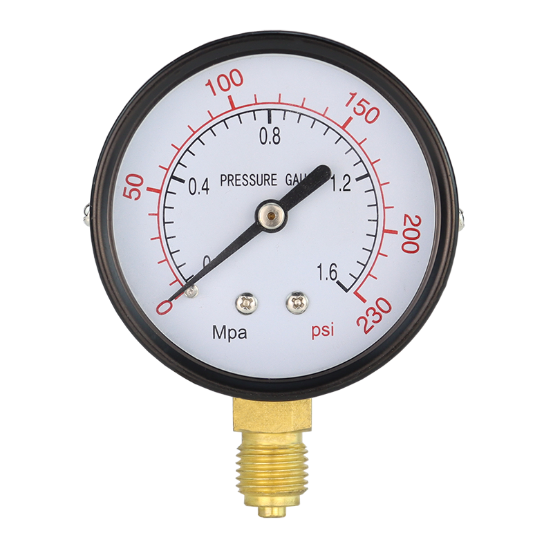 Y60 Universal Neutral Double Scale